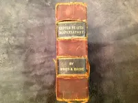 image.webp
