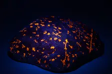 fl rock5.webp