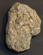 fossils7.jpg