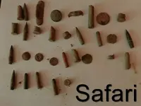 PA110564.webp