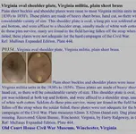 ImageUploadedByTreasureNet.com1539514606.896514.webp