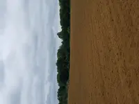 20180921_134522.webp 20180921_134522.webp