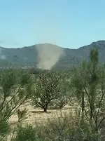 dust devil.webp