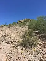 outcrop.webp