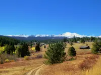 walk 101418 1.webp