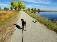 walk 101418 3.webp