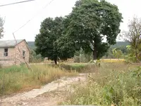 DSCF0003.webp