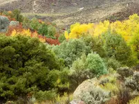 trip 100418 8.webp