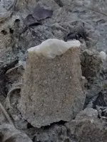 20181024_210122.webp