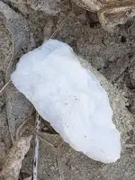 20181024_205737.webp