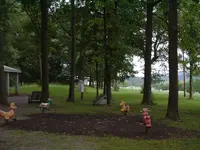 DSCF0004.webp