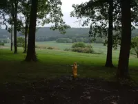 DSCF0009.webp