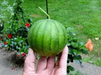 K1600_DSCN0198.webp