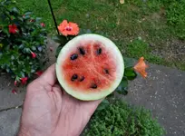 K1600_DSCN0199.webp