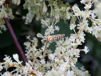 K1600_DSCN0191.webp