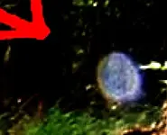 Untitled.webp