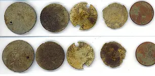 TodaysFinds.webp