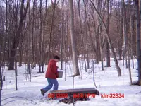 trail1.webp