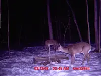 trail 16.webp