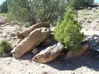 trail_markers_011-A.webp