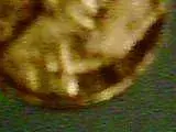 noname.bin-1.webp