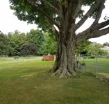20180820_174723.webp
