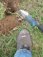 20180908_141707.webp