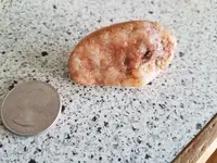 20180916_120345.webp