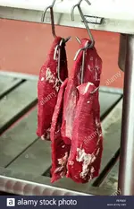 meat hook.webp