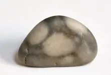 beach stone8.webp