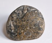 fossil stone2.jpg