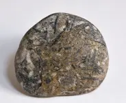 fossil stone2.webp