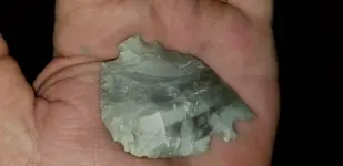 20181009_194253.webp