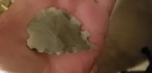 20181009_194311.webp