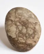 beach stone9.webp