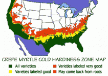 crape_myrtle_map.gif
