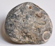 fossil stone.jpg