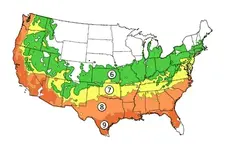 zones6-9.webp