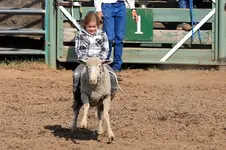 45200.webp