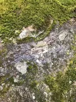 IMg 3 i guess.webp
