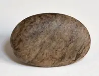 fossil stone6.webp