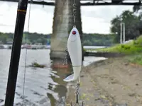K1600_DSCN0187.webp