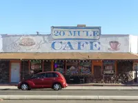 20 mule.webp 20 mule.webp