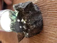 20181005_161123-ccfopt.webp
