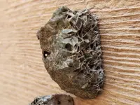 20181005_161525-ccfopt.webp