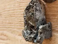 20181005_161518-ccfopt.webp
