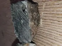 20181005_161320-ccfopt.webp