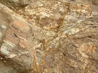DSCF0016.webp