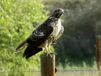 bike 090918 1.webp