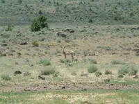 DSCF0002.webp